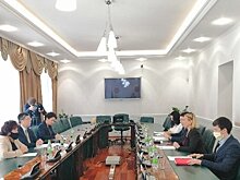 Аюпова обсудила с полномочным министром посольства Японии в России развитие татаро-японских отношений
