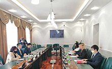 Аюпова обсудила с полномочным министром посольства Японии в России развитие татаро-японских отношений