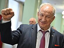 Машина экс-депутата Госдумы от КПРФ Рашкина попала в ДТП с лосем
