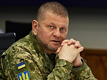 Депутат Рады Арьев сообщил об увольнении Залужного, но потом передумал