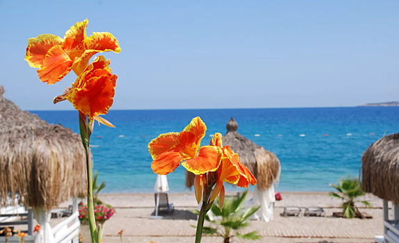 Названа стоимость самых дорогих туров россиян в 2022 году