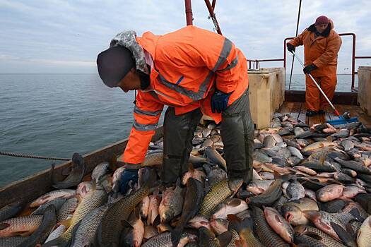 Путин рассказал о&nbsp;сложной и&nbsp;опасной истории