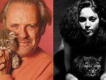 30 ретро-фотографий знаменитостей, позирующих с любимыми кошками