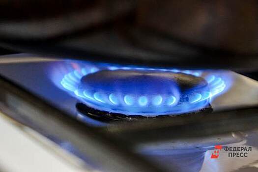 В Кургане газовики и подрядчик сорвали сроки подключения домов к «голубому топливу»