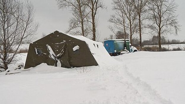 В Пензе активисты вырубили купель на Полевом пруду