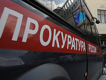 Прокуратура Петербурга заинтересовалась захоронением людей с помощью экскаватора