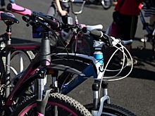 Омичка со второго раза отсудила у велосипедиста, который наехал на нее, больше 300 тысяч