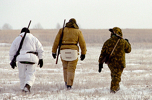 В ГД предложили способ привлечь в РФ туристов-охотников
