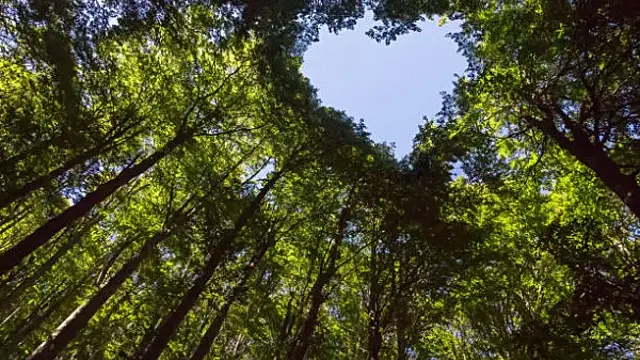 Любовный гороскоп на 10 сентября 2024 года: что обещают астрологи