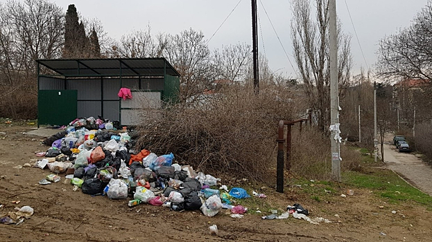 Россияне могут получить двойной штраф за неправильное обращение с мусором