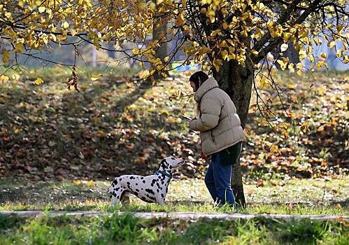 Предсказан срок прихода заморозков в Москву