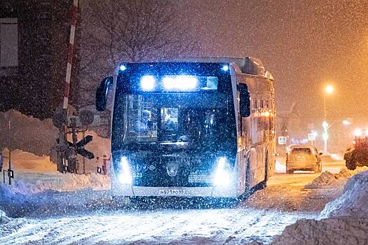 Россиянин ударил ногой в лицо кондуктора автобуса и напал на пассажирку