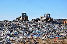 «Пахнет у нас не очень». Новый мусорный полигон в Омске откроют несмотря на протест жителей?