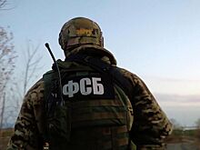 ФСБ задержала жителя Омска за призывы переходить на сторону ВСУ