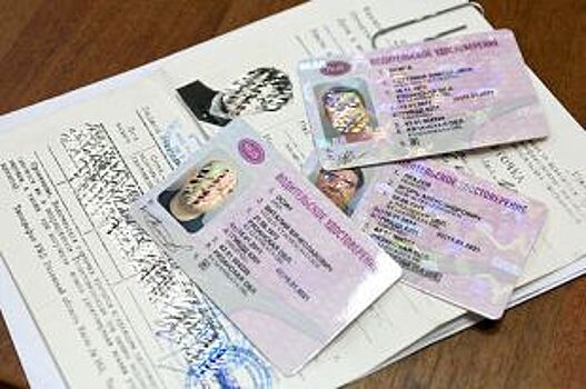 Поддельные водительские права продавали на шести сайтах в Новосибирске