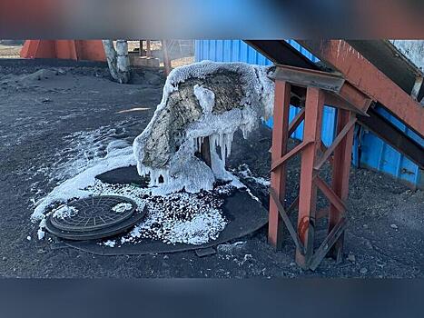 Щеглова: «В этом году мы активно фонтанируем»