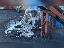 Щеглова: «В этом году мы активно фонтанируем»