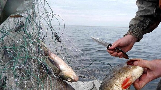 Любителя незаконной рыбалки поймали в Липином Бору
