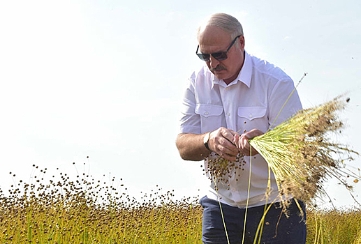 Лукашенко не исключил досрочных выборов президента Беларуси