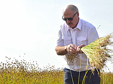 Лукашенко не исключил досрочных выборов президента Беларуси