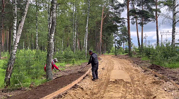 В Городском округе Пушкинский продолжаются работы по комплексному благоустройству лесопарка «Банный лес»