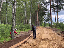 В Городском округе Пушкинский продолжаются работы по комплексному благоустройству лесопарка «Банный лес»