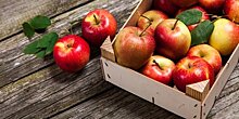 Что делать с яблочным урожаем: советы от шеф-поваров