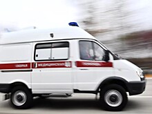 В Москве ребенок оперся на москитную сетку и выпал из окна с 8 этажа