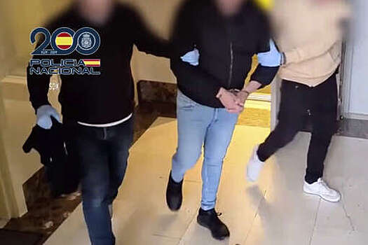 В Испании задержали мужчину, насиловавшего дочь в прямом эфире за деньги