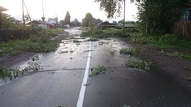 В Красноярском крае сильный ветер оставил без света около 14 тыс. человек