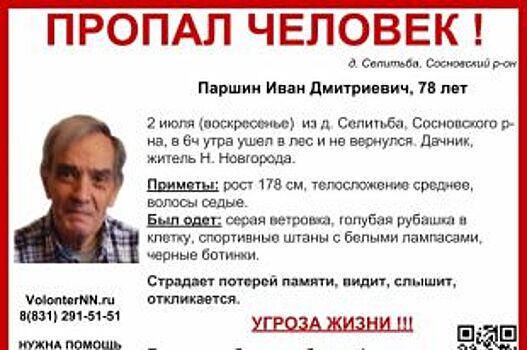 В Сосновском районе ищут пропавшего 78-летнего Ивана Паршина