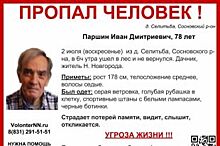 В Сосновском районе ищут пропавшего 78-летнего Ивана Паршина