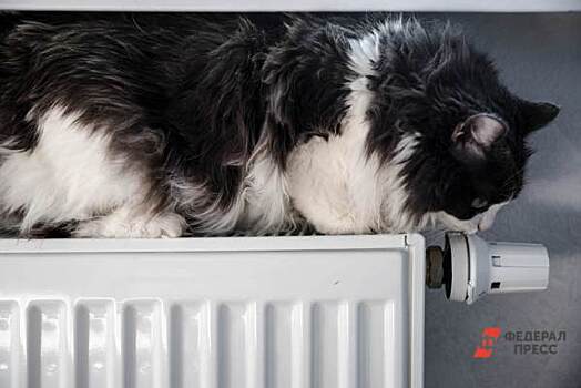 ​Минобороны ответило свердловским коммунальщикам после публикации УралПолит.Ru