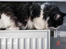 ​Минобороны ответило свердловским коммунальщикам после публикации УралПолит.Ru