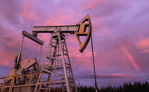 Эксперт отметил вероятность роста цены нефти выше $80 за баррель