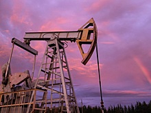 Эксперт отметил вероятность роста цены нефти выше $80 за баррель