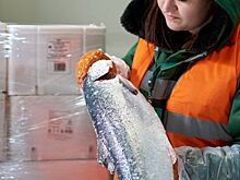 Перекрёсток наладил прямые поставки камчатской нерки в рамках концепции «От моря до полки»