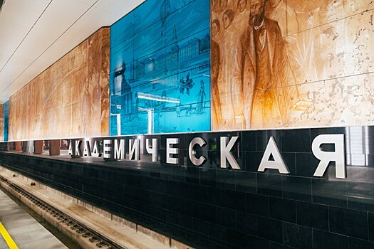 К 300-летию РАН на станции «Академическая» московского метро установят тематическое панно