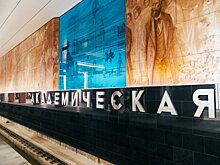 К 300-летию РАН на станции «Академическая» московского метро установят тематическое панно