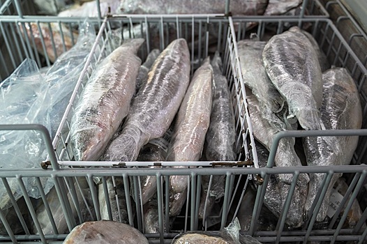 Великобритания увеличила закупки норвежской трески после ограничения импорта российской рыбы