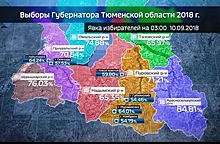 Самыми активными избирателями на Ямале оказались жители сел