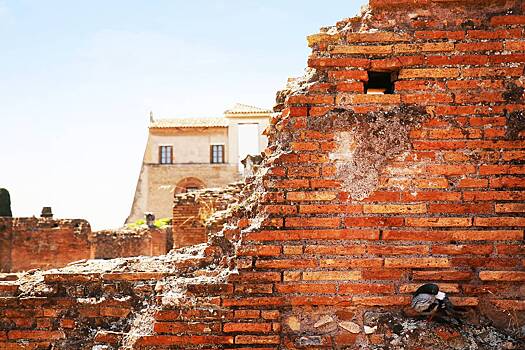 На участок российской пенсионерки упала купеческая стена