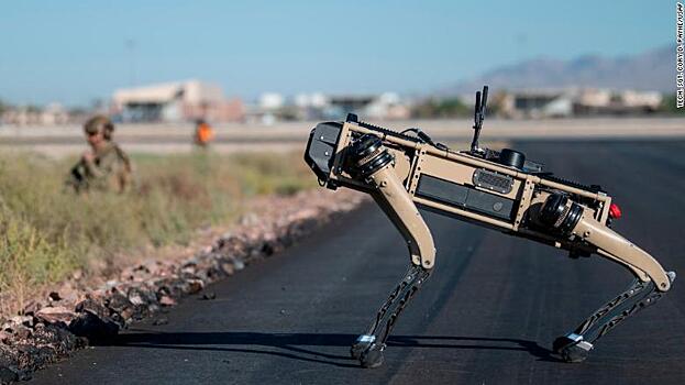 Американские военные провели испытания с роботами-собаками