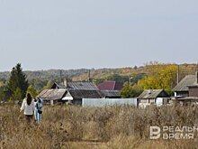 Владельцы заброшенных участков в России получили три года на их освоение