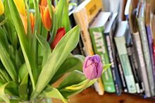Книги на весну. Топ-шесть советов филолога по выбору произведений