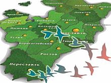 Осень: кадры улетают. В Ярославле изменился расклад политических сил