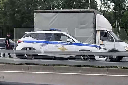 Baza: в Подмосковье гаишники проверяют грузовики на предмет наличия БПЛА