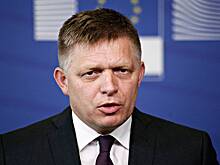 Премьер Словакии назвал поездку в Москву успешной