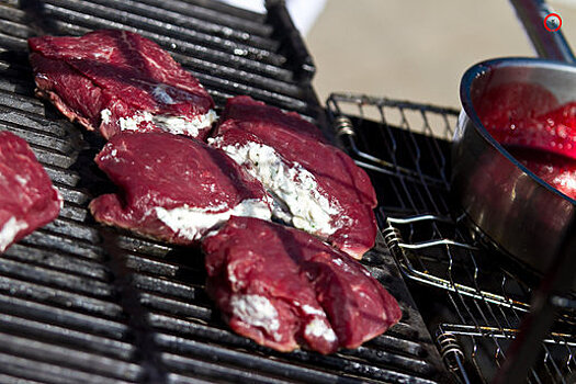 Учёный БФУ им. И. Канта предложила новый способ получения растительных аналогов мяса