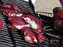 Учёный БФУ им. И. Канта предложила новый способ получения растительных аналогов мяса